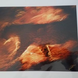 Safari photo of ghostly leopard